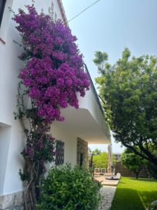 Jardin La Bellaudiere Cagnes-sur-mer